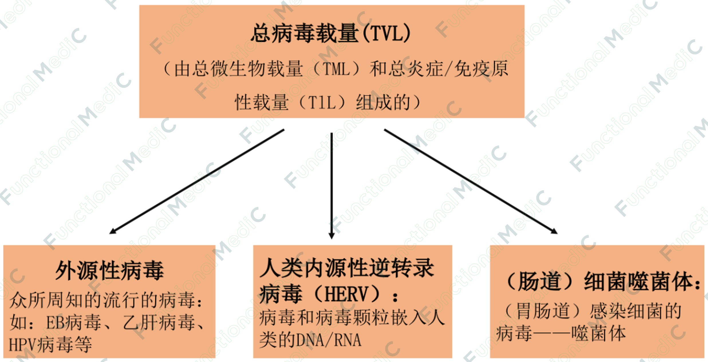 温故而知新专栏 | 病毒系列（2）：病毒感染与自身免疫疾病