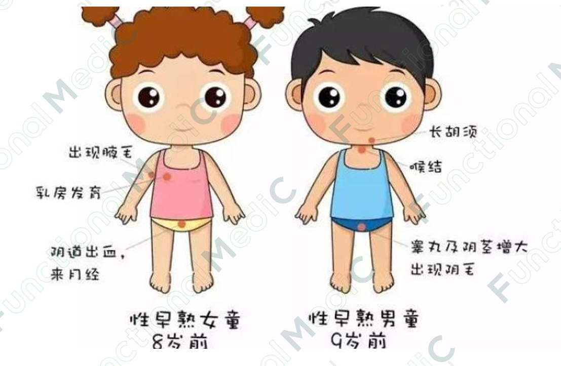 温故而知新专栏 | 儿童性早熟—功能医学指导下寻找生理原因