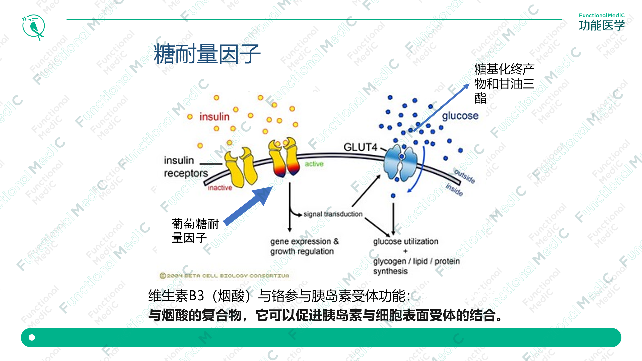 温故而知新专栏 | 代谢综合征与恶性肿瘤（下）