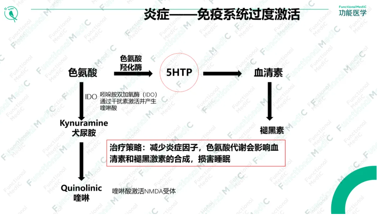 温故而知新专栏 | 变应性肉芽肿性血管炎的功能医学辅助干预（上）