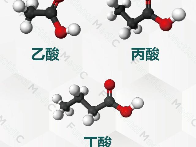 直播预告 | 【FMC周三直播间】《肝脏生物转化与毒素清除6》