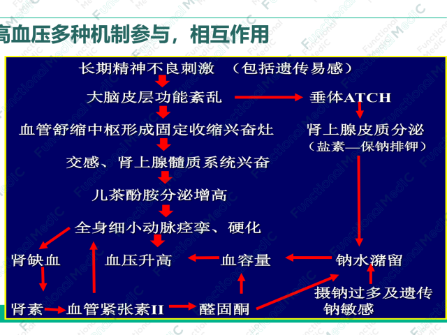 温故而知新专栏 | 高血压药物与营养的相互作用（三）ACEI & ARB