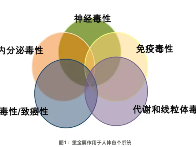 温故而知新专栏 | 解毒与生物转化失衡篇《功能医学排除重金属的基础方案》