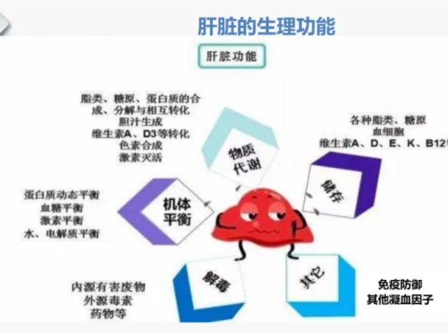 温故而知新专栏 | 功能医学辅助治疗肝硬化案例分享（上）