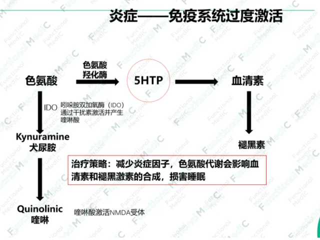 温故而知新专栏 | 变应性肉芽肿性血管炎的功能医学辅助干预（上）